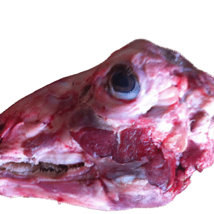 Lammehoved